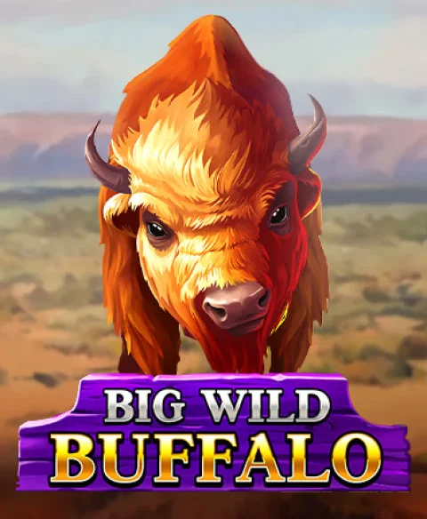 Play Big Wild Buffalo at Cazimbo Casino